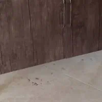 کابینت چوبی نو قیمت ۵۲۰۰