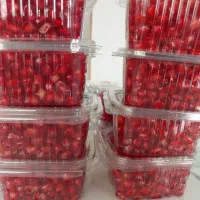 انواع سالاد و انارباکیفیت با بسته بندی تک نفره