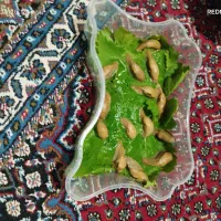 حلزون برای پوست و جوانسازی