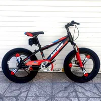 دوچرخه 20 همه چـیزش عالی