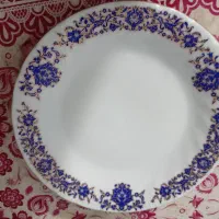 سرویس میوه خوری 9 پارچه چینی آک آک