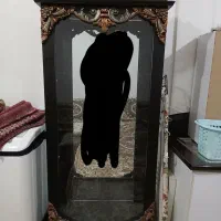 تلویزیون ۱۴اینج با بوفه و هدفون