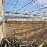 فروش گلخانه همراه با زمین و آب