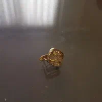 لنگه گوشواره گمشده