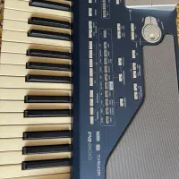 کیبرد korg Pa 800