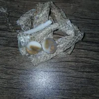 مهره اصل سبز