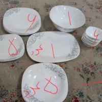 چینی پارس اپال و توستر