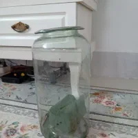 تنگ بزرگ سالم جهت ماهی یا گلدان شیشه ای