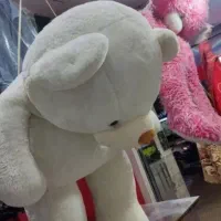 شستشو وخشکشویی لطیفه|خدمات نظافت|بندرعباس, |دیوار