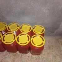 خیار شور محلی  و رب محلی