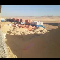 *تخمه دامی ک اه سبز و سفید *|حیوانات مزرعه|حبیب آباد, |دیوار