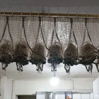 پرده