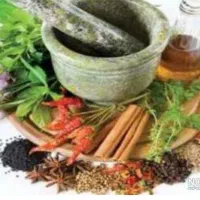 نیروی کار در عطاری