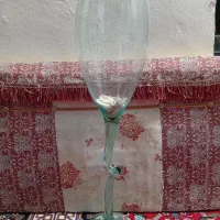 تنگ ماهی بزرگ