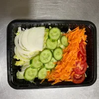 پیک موتوری کترینگ