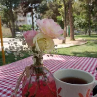 استخدام پرسنل