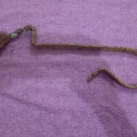 تسبیح عطیقه هسته خرما|کلکسیون اشیاء عتیقه|بندر گز, |دیوار