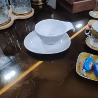 ظروف پذیرایی