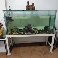 آکواریوم با تمام وسایل سالم