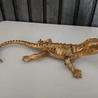 انواع برنز همگی نو|مجسمه، تندیس، ماکت|کرمانشاه, |دیوار