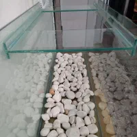 آکواریوم