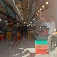 فروش مغازه بازار ماهی گرکان|فروش مغازه و غرفه|گرگان, |دیوار