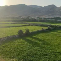 برنج درجه ۱ دم سیاه کلات|خوردنی و آشامیدنی|مشهد, فرهنگیان (شهرک غرب)|دیوار