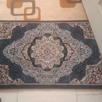 پادری|فرش|فولادشهر, B4|دیوار