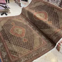 جفت شش متری ماهی