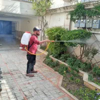 سمپاشی باغبانی گل خاک باغ بان سم پاش هرس کود دهی