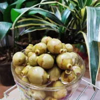 ترشی سپستان|خوردنی و آشامیدنی|قم, شهرک قدس|دیوار