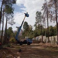 هرس وبرش درخت با اره برقی خرید چوب