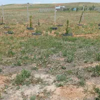 زمین در بیلوردی