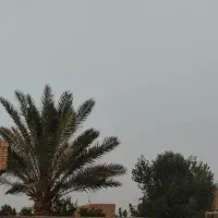 خانه اجاره ای