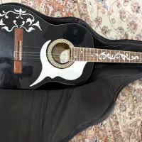 گیتار و کیفش