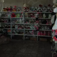 تعدادی قفسه کاملا نو