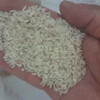 برنج عنبر بو سیروان