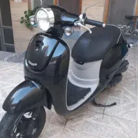 پاکشتی گرینو