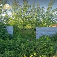 1300متر زمین مسکونی با سند قطعی در رشت چولاب|فروش زمین و ملک کلنگی|لولمان, |دیوار