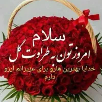 پرستار  برای مادرم