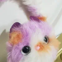 گربه موزیکال وچراغدار