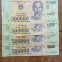 دونگ ویتنام