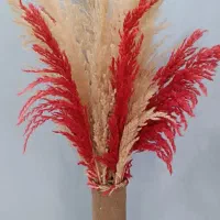 گلدان