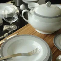 سرویس چینی 102 پارچه زرین ایتالیا اف سیلور لاینر|ظروف سرو و پذیرایی|تهران, شهرک چیتگر|دیوار