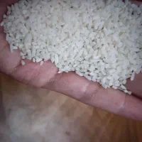 صدکیلو نیمدانه هاشمی