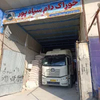 کاه گندم خوشه|لوازم جانبی حیوانات|خنج, |دیوار