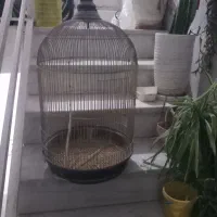 قفس جوجه پران