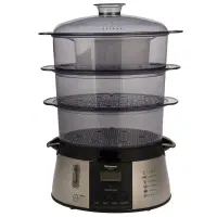 بخار پز دلمونتی نو