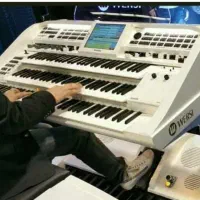 نوازندگی /موسیقی کوردی /در مراسمات /وکافه ها