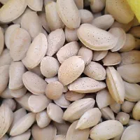 بادام سنگی آبی
